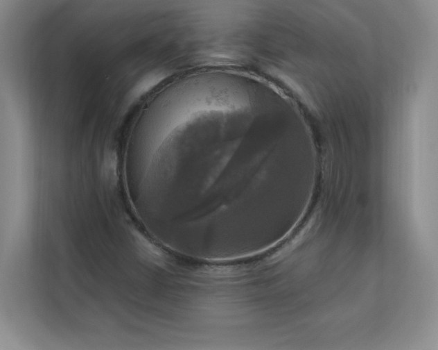 X0000113301402200909281055