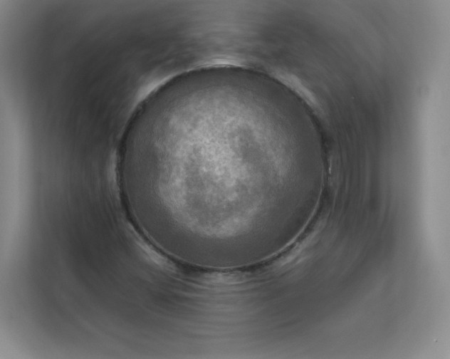 X0000113301404200909281055