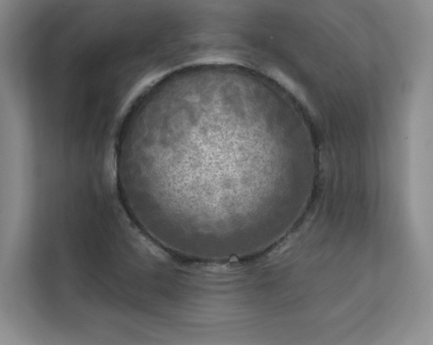 X0000113301408200909281055