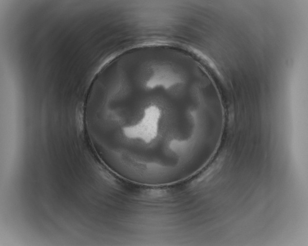 X0000113301409200909281055