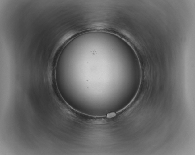 X0000113301410200909281055