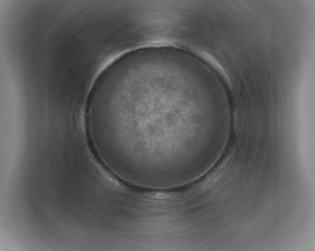 X0000113301412200909281055