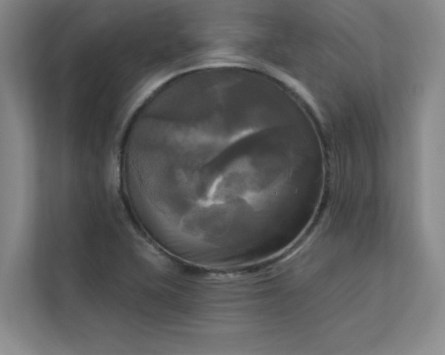 X0000113301415200909281055