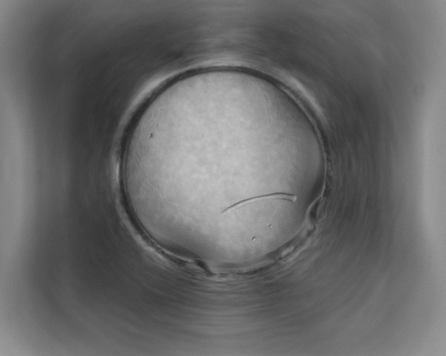 X0000113301416200909281055