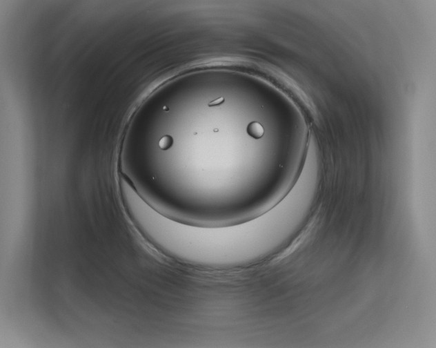 X0000113301417200909281055