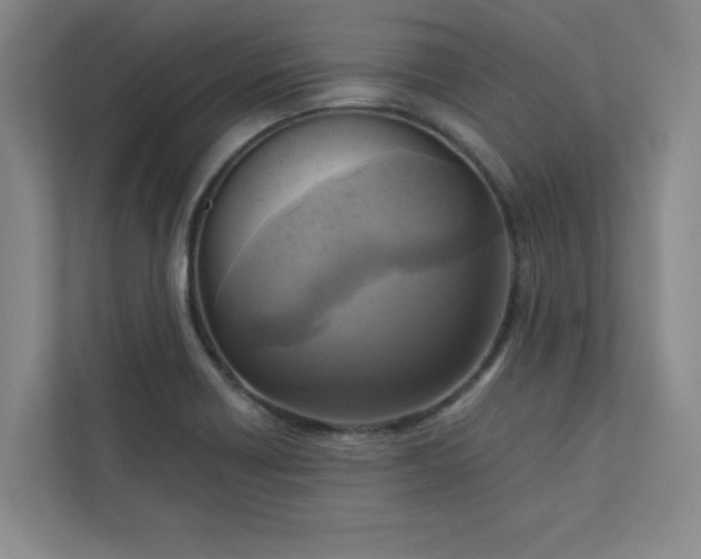 X0000113301418200909281055