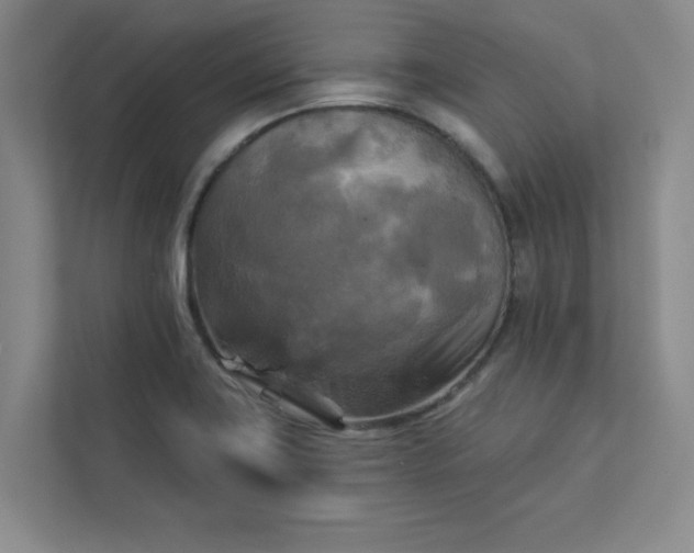 X0000113301419200909281055