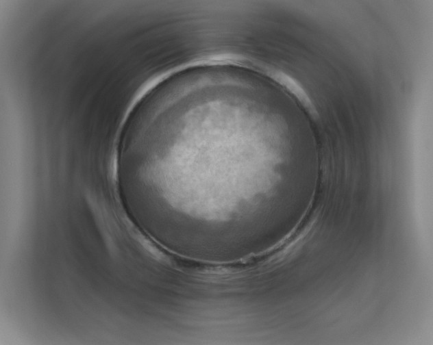 X0000113301420200909281055