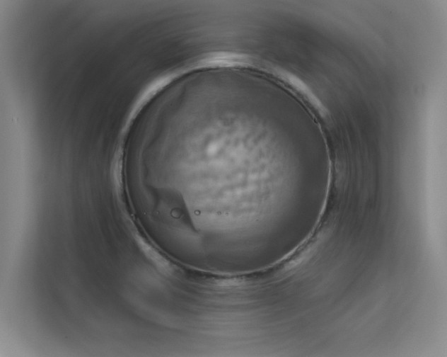 X0000113301421200909281055