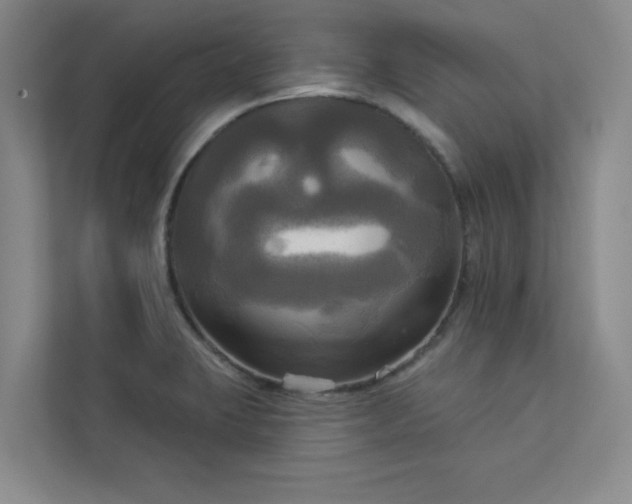 X0000113301423200909281055