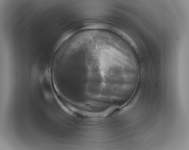 X0000113301425200909281055