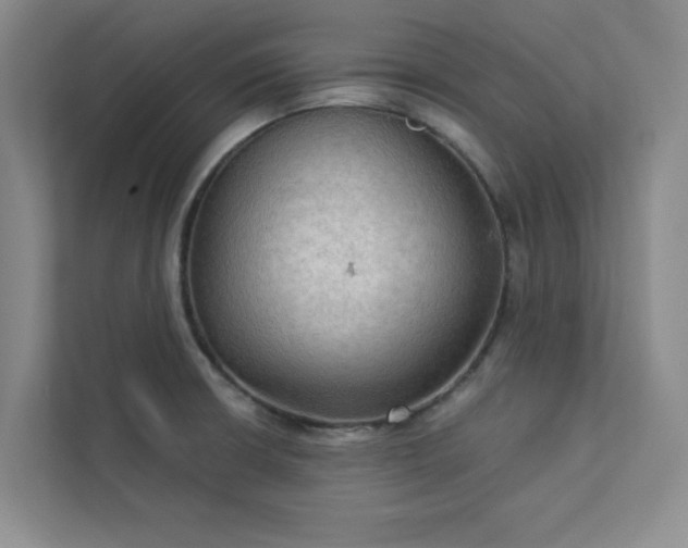 X0000113301426200909281055