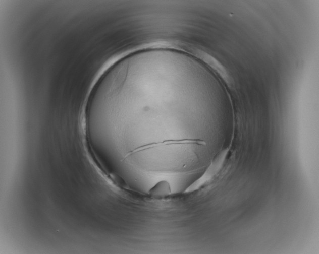 X0000113301428200909281055