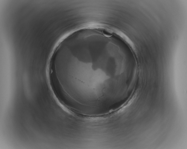 X0000113301429200909281055