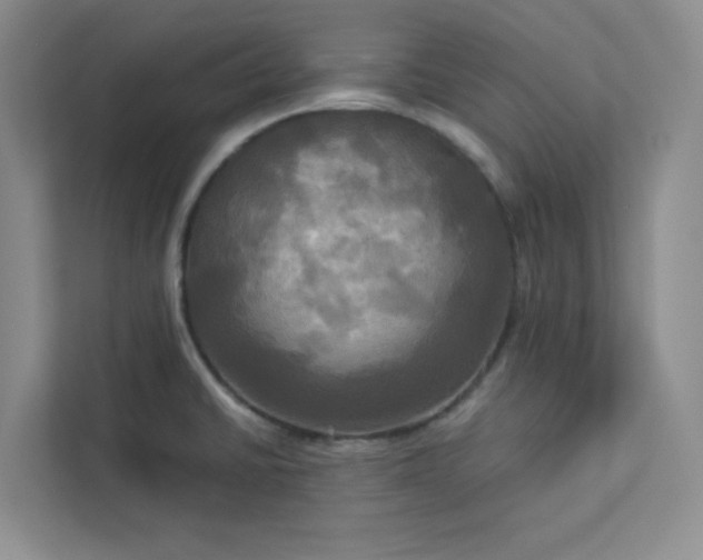 X0000113301430200909281055