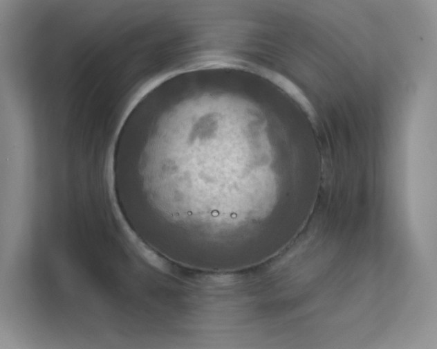 X0000113301431200909281055