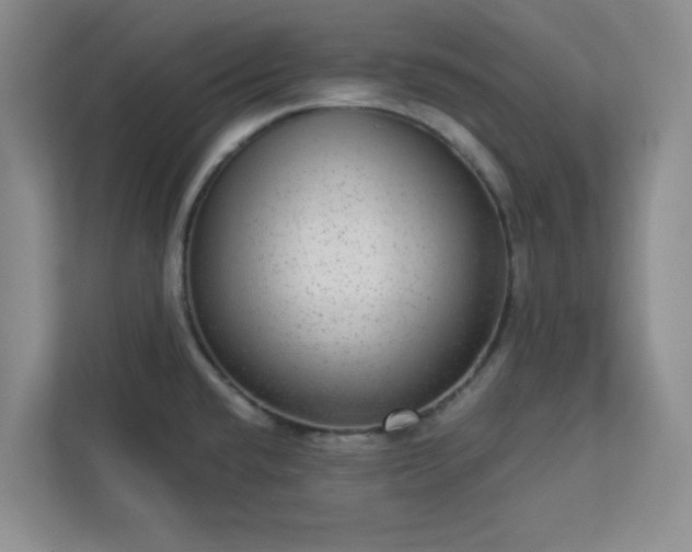 X0000113301432200909281055