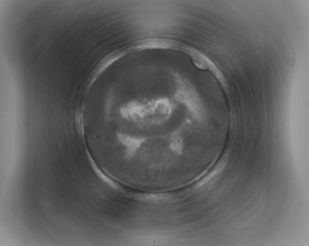 X0000113301433200909281055