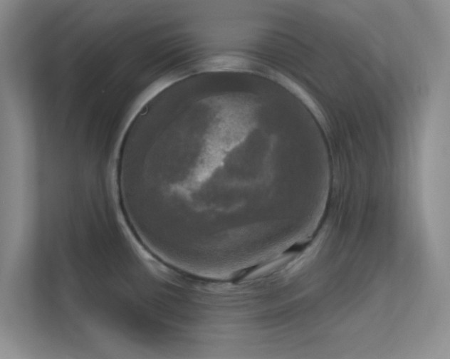 X0000113301434200909281055