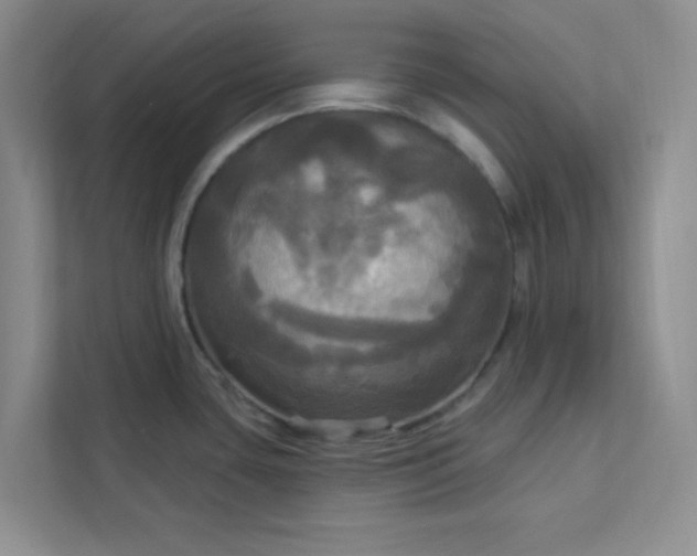 X0000113301435200909281055