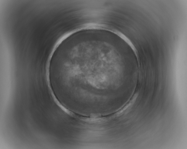 X0000113301437200909281055