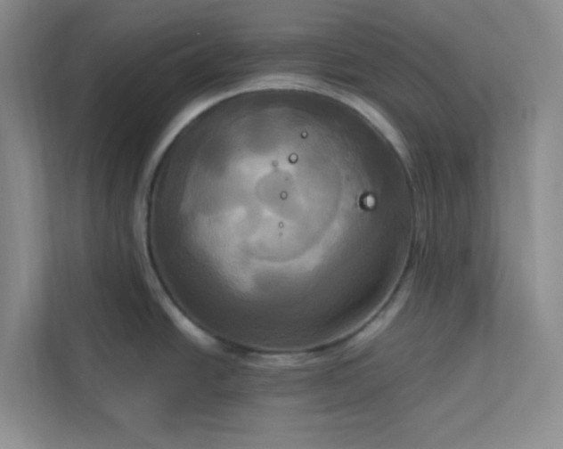 X0000113301438200909281055