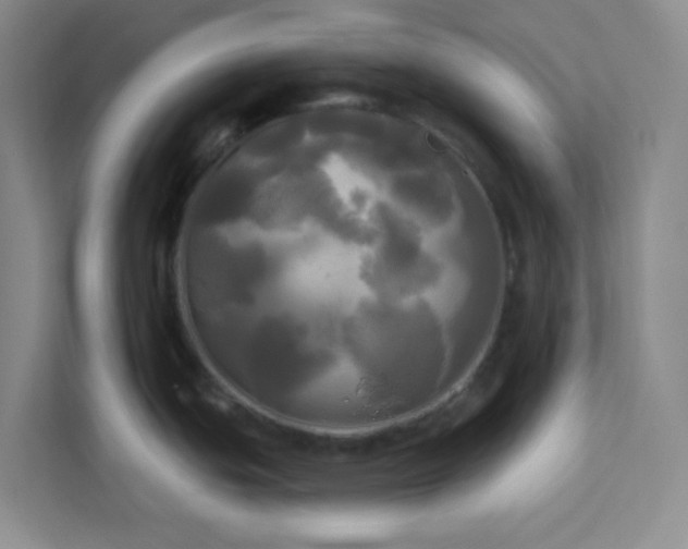 X0000113301439200909281055