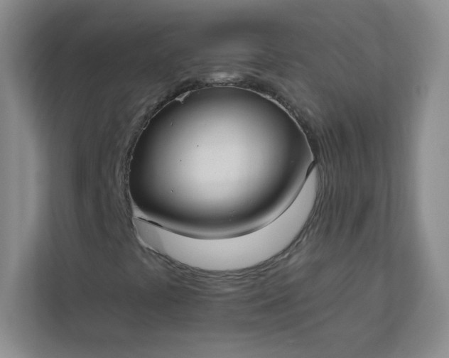 X0000113301441200909281055