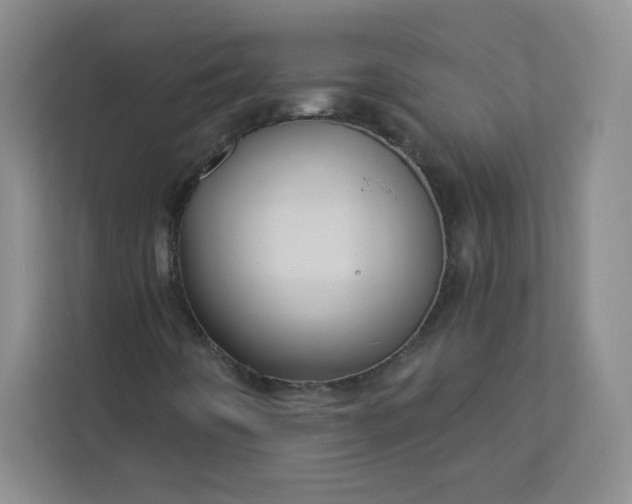 X0000113301442200909281055