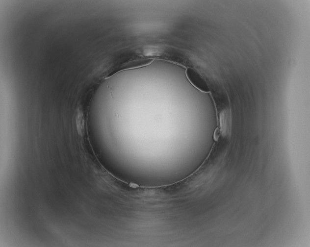 X0000113301443200909281055