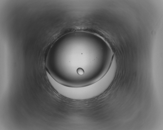 X0000113301444200909281055