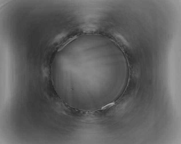 X0000113301445200909281055