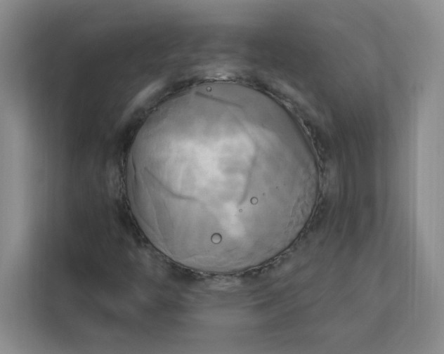 X0000113301446200909281055