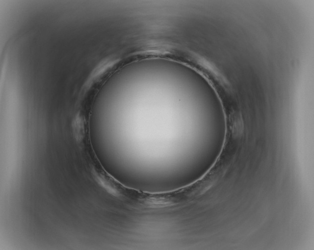 X0000113301448200909281055