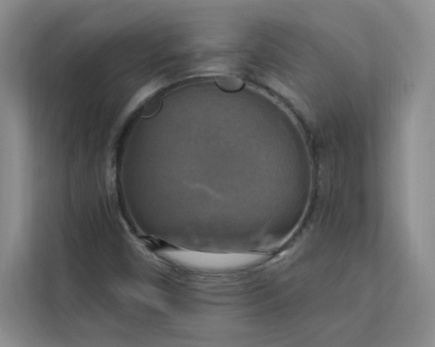 X0000113301450200909281055