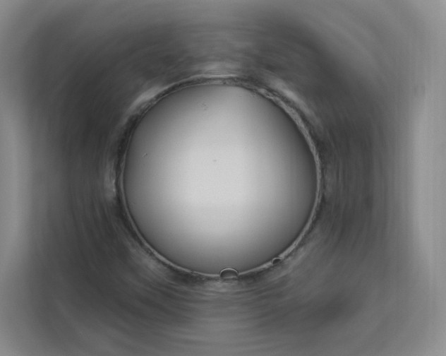 X0000113301451200909281055