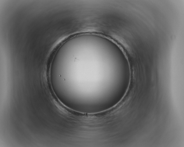 X0000113301452200909281055