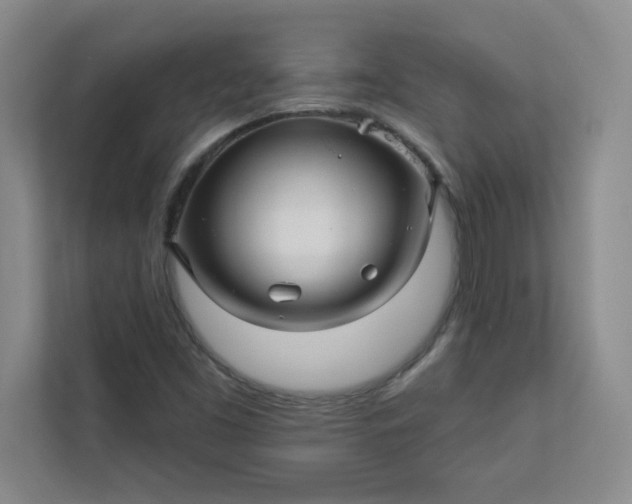 X0000113301453200909281055