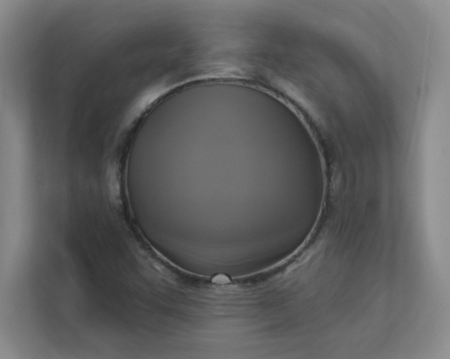 X0000113301455200909281055