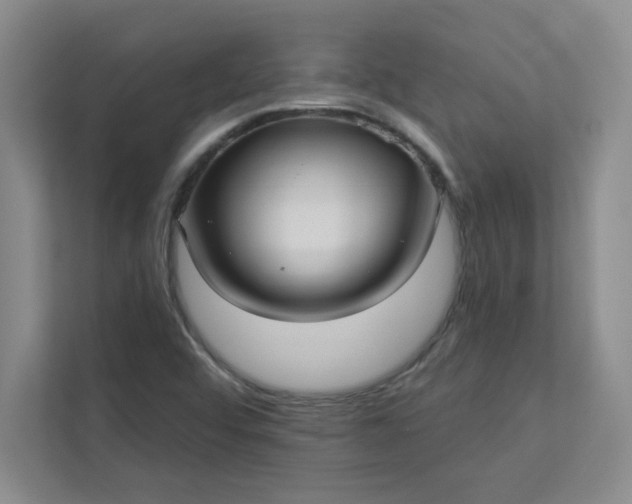 X0000113301456200909281055