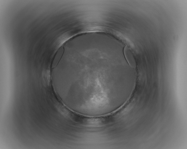 X0000113301457200909281055