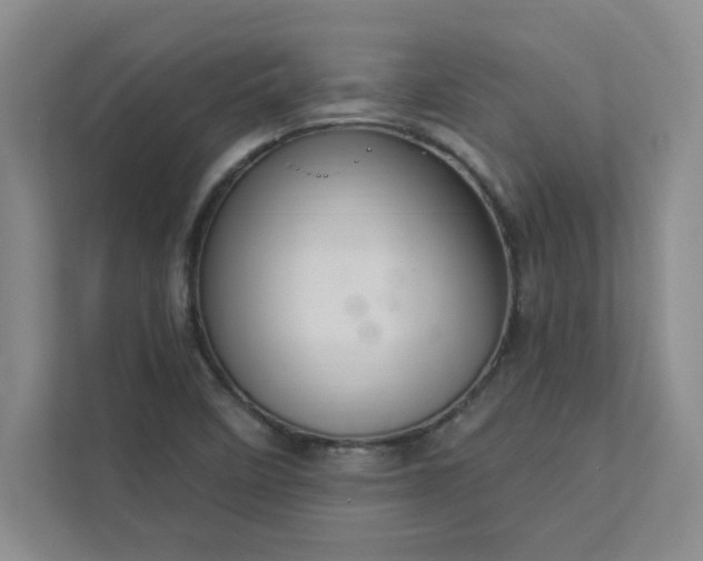 X0000113301458200909281055