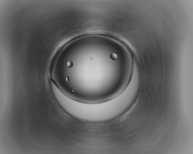 X0000113301461200909281054