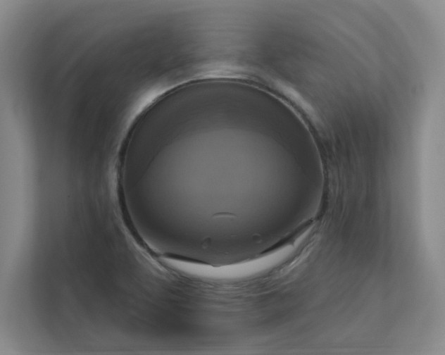 X0000113301463200909281054