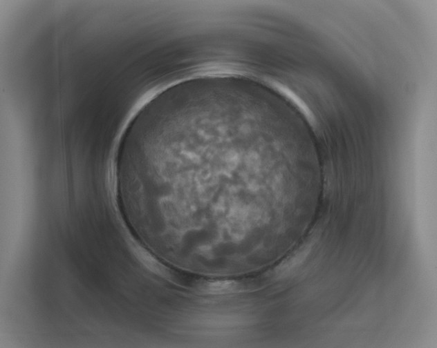 X0000113301467200909281054