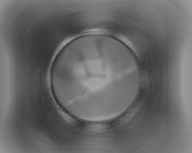 X0000113301474200909281054