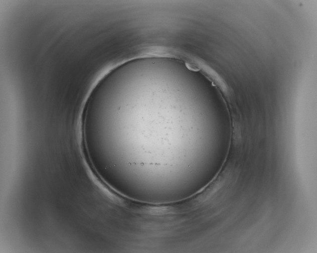 X0000113301479200909281054