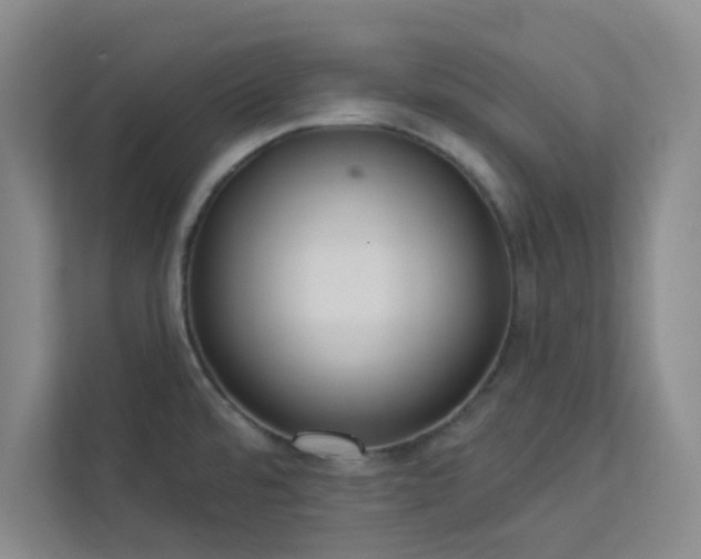 X0000113301480200909281054