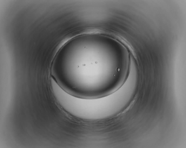 X0000113301481200909281054