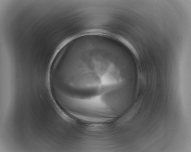 X0000113301482200909281054